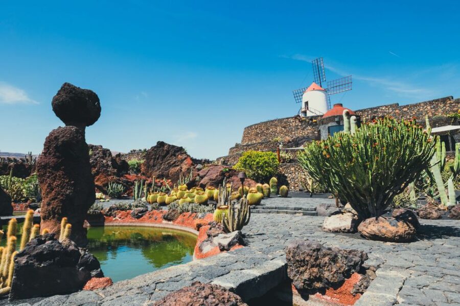Lanzarote: César Manrique Full-Day Tour - Jardín de Cactus: The Plant World With a Sense of Humor