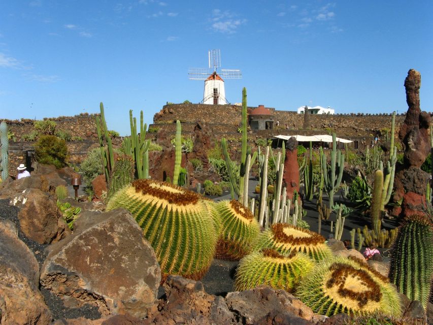 Lanzarote Coast to Coast Tour - Value for Money: Why This $94 Tour Works (and When It Doesn’t)