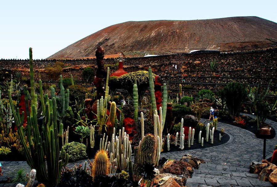 Lanzarote Coast to Coast Tour - Who Should Book, and Who Should Skip It