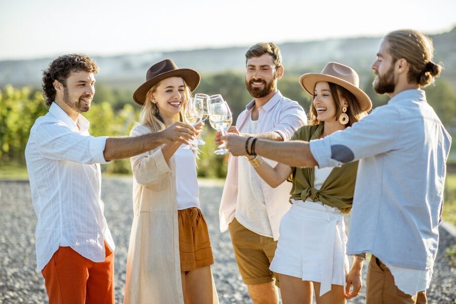 Lanzarote: Day Tour for Cruise Passengers - La Geria wine region: tasting included, and the volcanic reason why