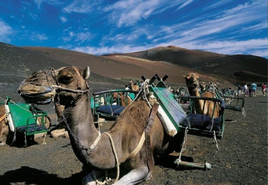 Lanzarote: Day Tour for Cruise Passengers - El Islote de Hilario to the Green Lagoon: heat first, then color and salt marshes