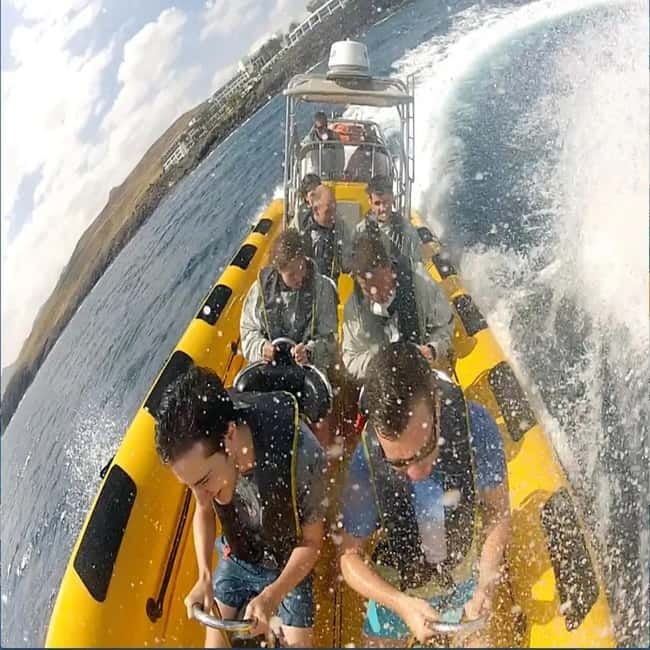 Lanzarote: Dolphin Watching by speedboat - Who should book this RIB dolphin safari, and who should skip it