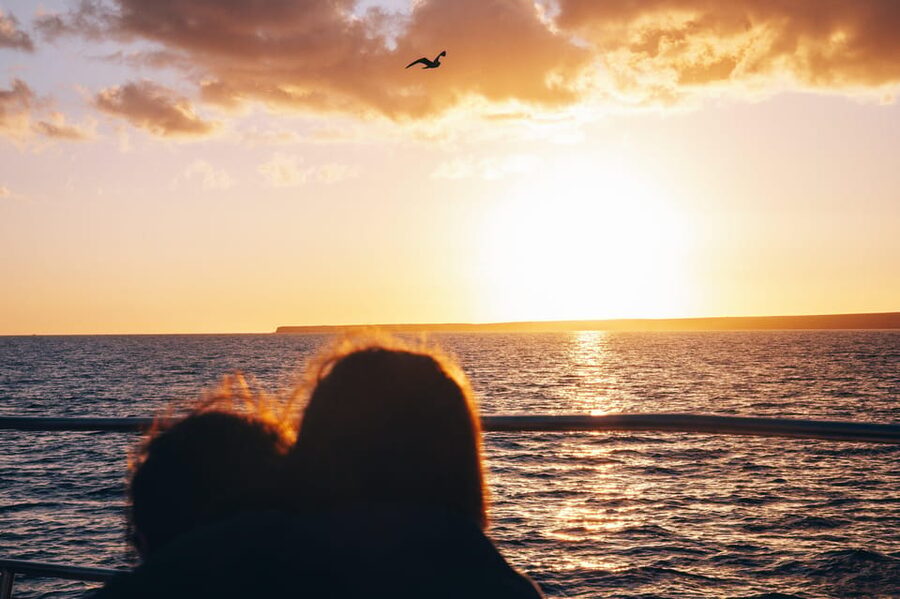 Lanzarote: Dolphin-Watching Sunset Cruise with Transfers - Key things I’d circle before you book