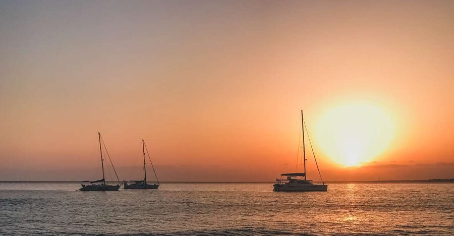 Lanzarote: Dolphin-Watching Sunset Cruise with Transfers - Transfers and meeting points: getting on the boat without the hassle