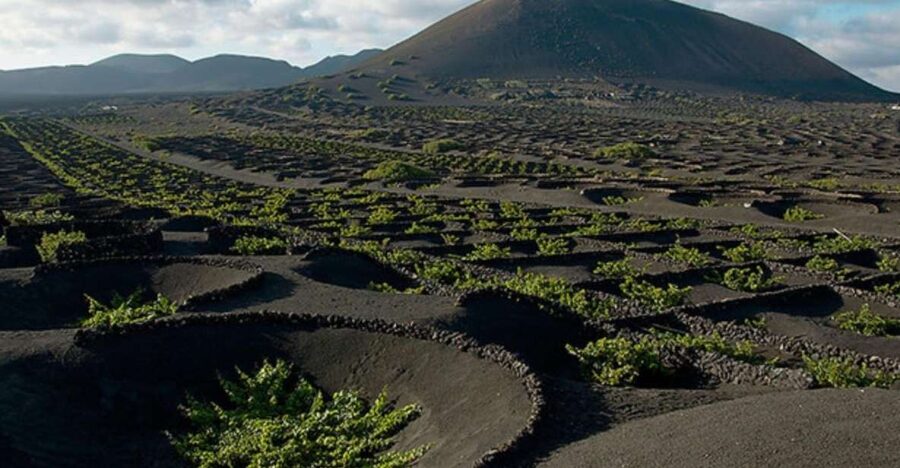 Lanzarote: Full Day Bus Tour with Scenic Views - Timanfaya National Park: Volcanic Views Plus Geothermal Moments