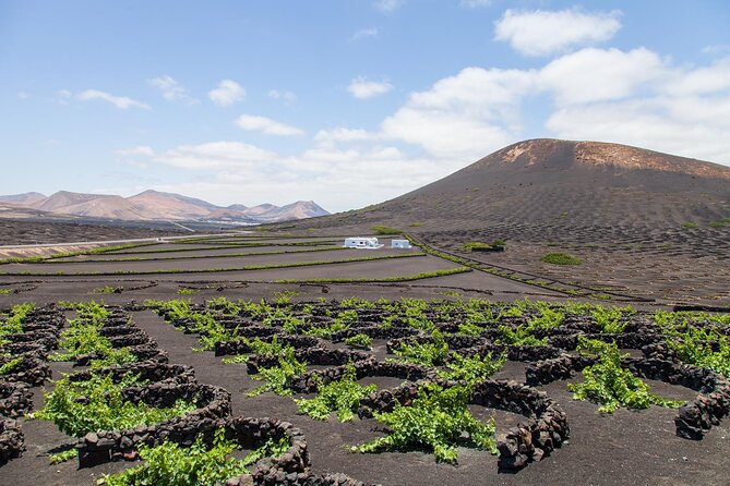 Lanzarote Grand Tour - Timanfaya National Park: The Fire-Side Coach Route You Can’t Rush