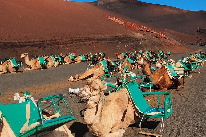 Lanzarote Grand Tour - Price and Logistics: Is $104.99 Good Value?