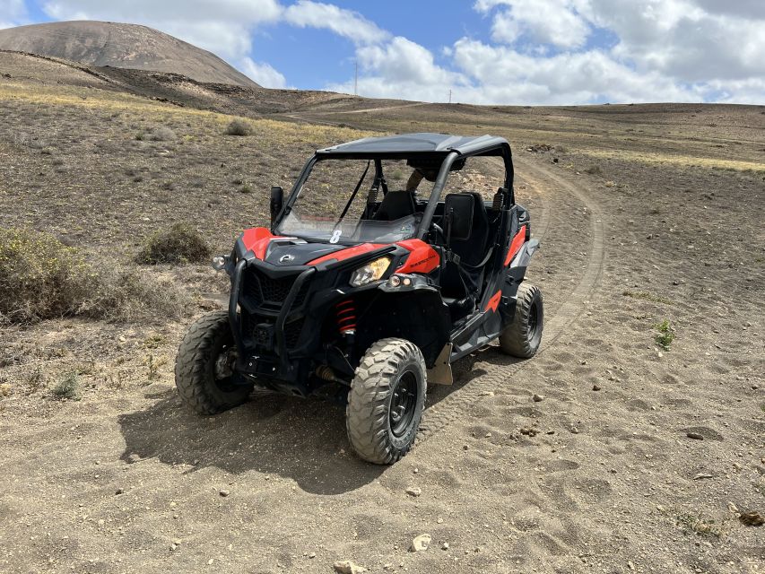Lanzarote: Guided Can-Am Trail Buggy Tour - Key highlights at a glance