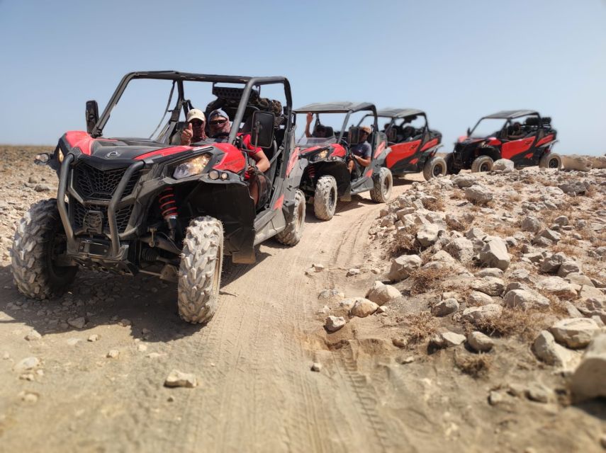 Lanzarote: Guided Can-Am Trail Buggy Tour - The Can-Am Trail setup: automatic driving you can trust