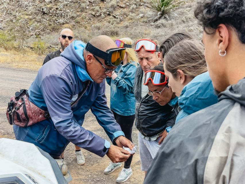 Lanzarote: Guided Off-Road Volcano Buggy Tour - The Descent Through Teseguite and El Mojón Quarry