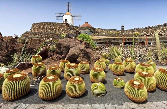 Lanzarote Highlights. Private Tour with Pickup (price per vehicle, not p.p.) - Key things I’d circle before you book