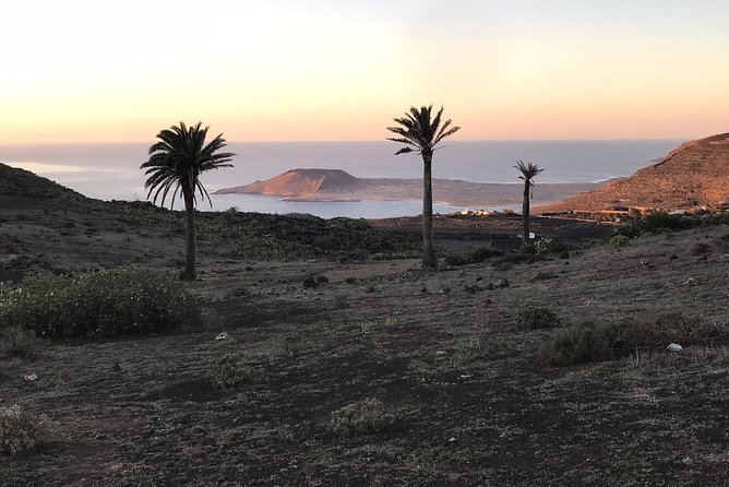 Lanzarote Highlights. Private Tour with Pickup (price per vehicle, not p.p.) - Stop 4: Jameos del Agua, César Manrique’s underground masterpiece