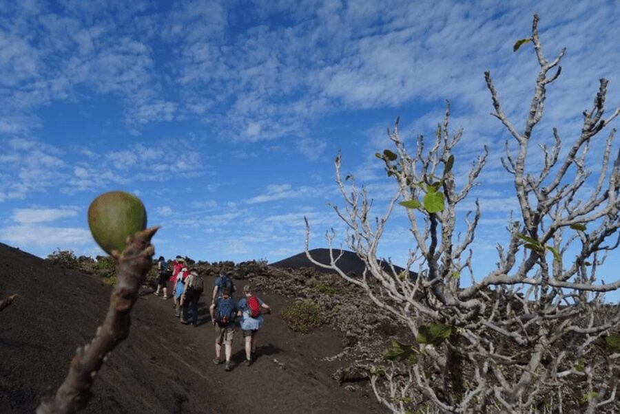 Lanzarote: Hike Across Timanfaya's Volcanic Landscapes - What to pack for volcanic ground: shoes, water, and the sun check
