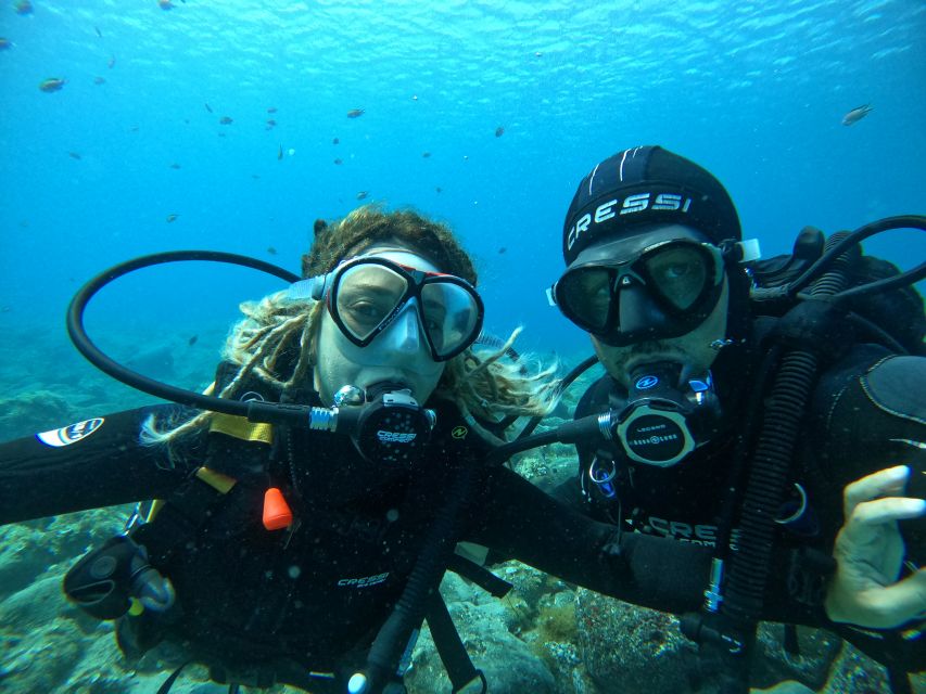 Lanzarote: Intro to Diving Experience for Beginners - Crystal-Clear Water and Marine Life You Can Spot From the Shore