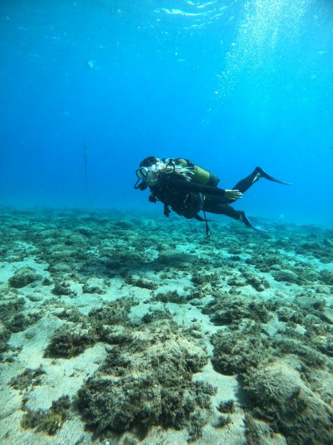 Lanzarote: Intro to Diving Experience for Beginners - Your Instructor Makes It Work: Salva and Tutu’s Patient Style