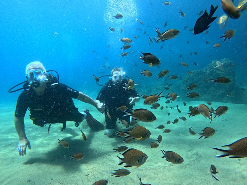 Lanzarote: Intro to Diving Experience for Beginners - Where This Fits on Your Lanzarote Schedule