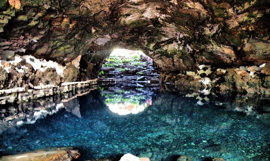 Lanzarote: Jameos del Agua & North Island for Cruise Guests - Price and value: what about $47 gets you
