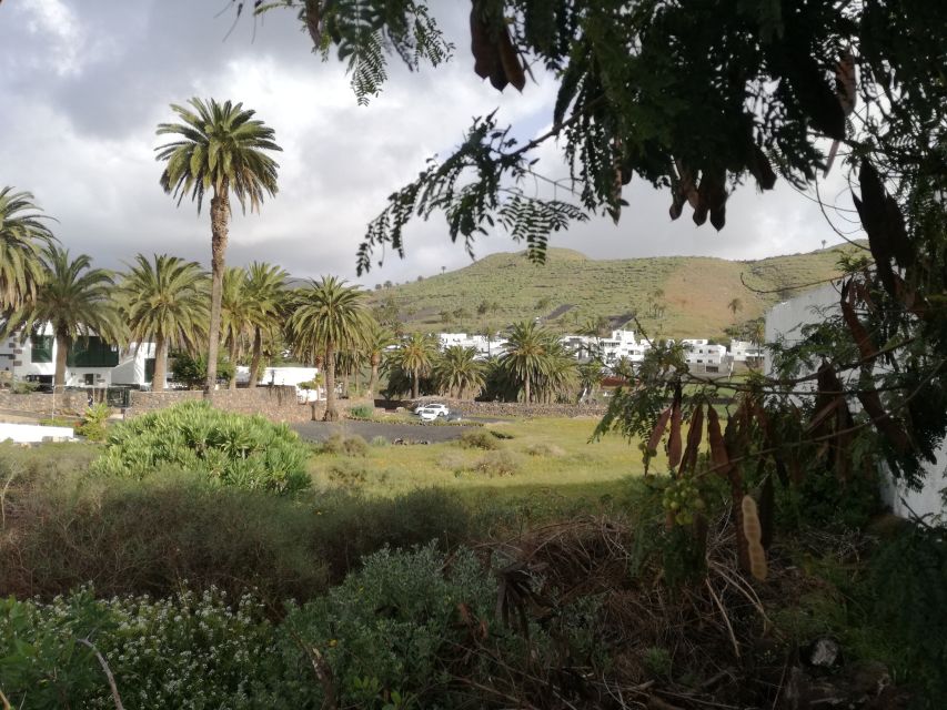 Lanzarote: Jameos del Agua & North Island for Cruise Guests - Should you book this Lanzarote morning tour?