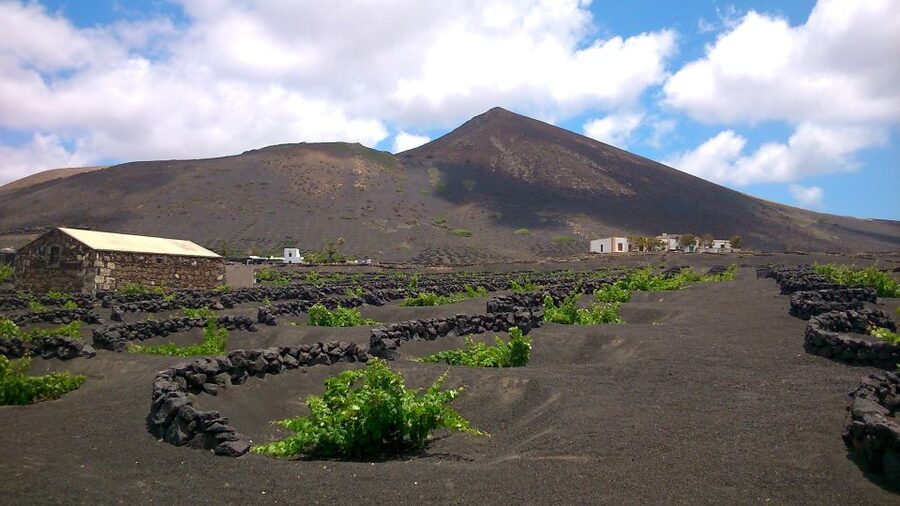 Lanzarote: La Geria Vineyards Hiking Tour - Key highlights at a glance