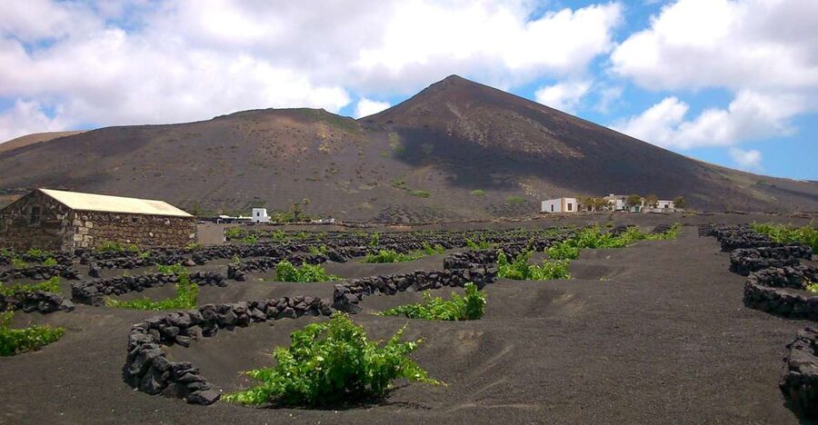 Lanzarote: La Geria Vineyards Hiking Tour - Who should book this tour (and who should skip it)