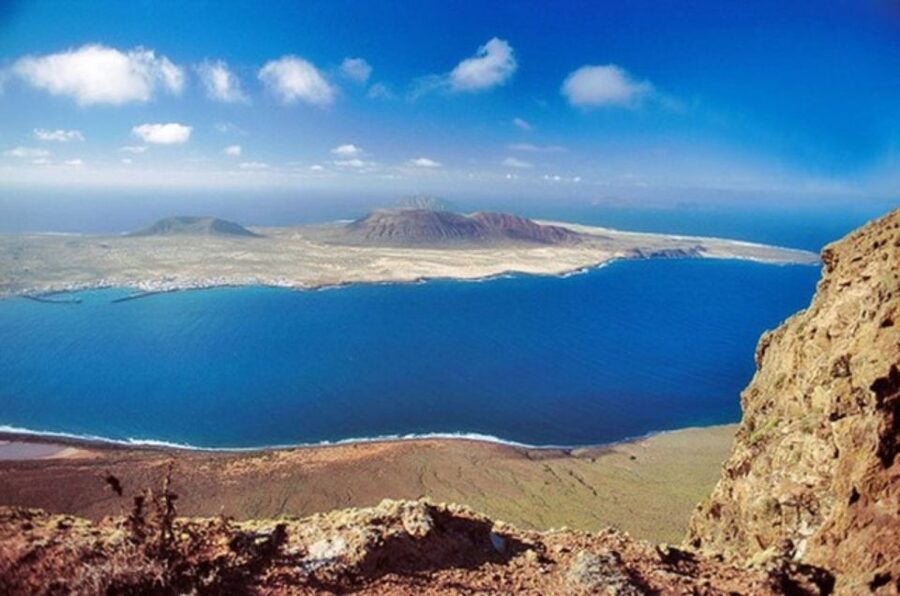 Lanzarote: Legacy of César Manrique Guided Tour - Cactus Garden: A Garden That Doesn’t Apologize for the Climate