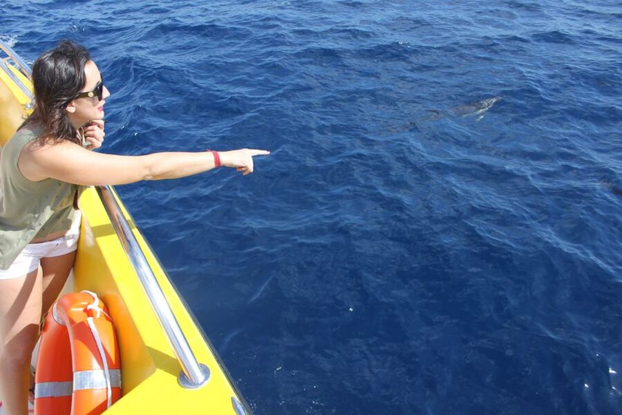 Lanzarote: Lobos Island Half-Day Dolphin Watching Trip - Practical packing list for Lanzarote sun and Lobos conditions
