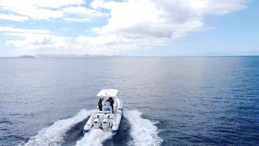 Lanzarote: Private boat Trip 2:30h - Wildlife and Those Surprise Moments