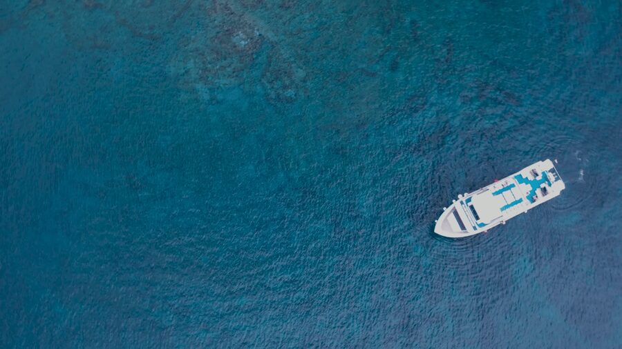 Lanzarote: Puerto del Carmen & Puerto Calero Boat Transfer - Choosing the Right Departure Time (Without Stress)