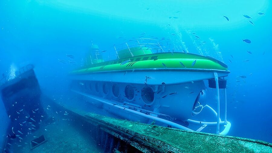Lanzarote: Real Submarine Dive with Hotel Pickup - Going down to 30 meters: what you can actually look for