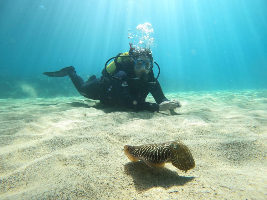 Lanzarote: Scuba Diving for Beginners with 2 Dives - Small group size and multilingual coaching: how you learn faster