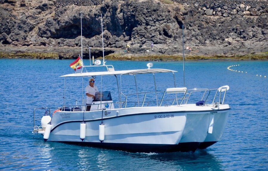 Lanzarote: Sea Safari Experience - The Views Are a Real Bonus When Animals Are Farther Out