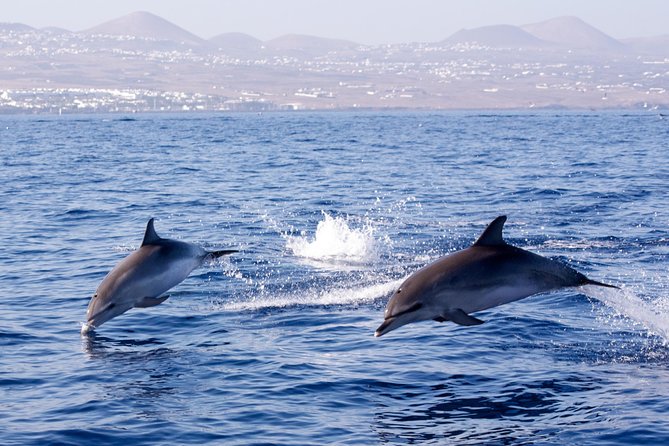 Lanzarote Sea Safari from Puerto calero - Calero Marinas to the Volcanic Coast: Your Main 2-Hour Cruise