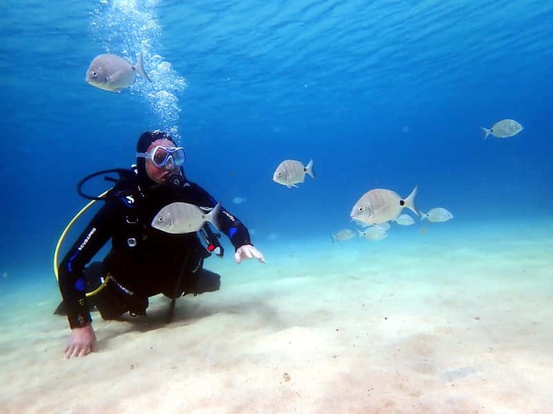 Lanzarote: Small Group Beginner Dive Course Costa Teguise - Key Points Worth Noting