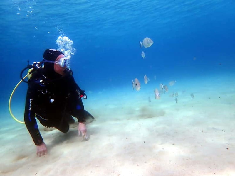 Lanzarote: Small Group Beginner Dive Course Costa Teguise - The Actual Dive: 40 Minutes in 3–5 Meters (and Yes, You’ll See Fish)