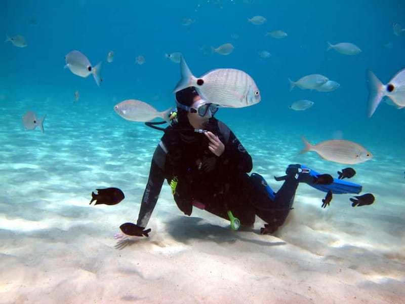 Lanzarote: Small Group Beginner Dive Course Costa Teguise - What the Small Group Means for You (More Than Just Fewer People)