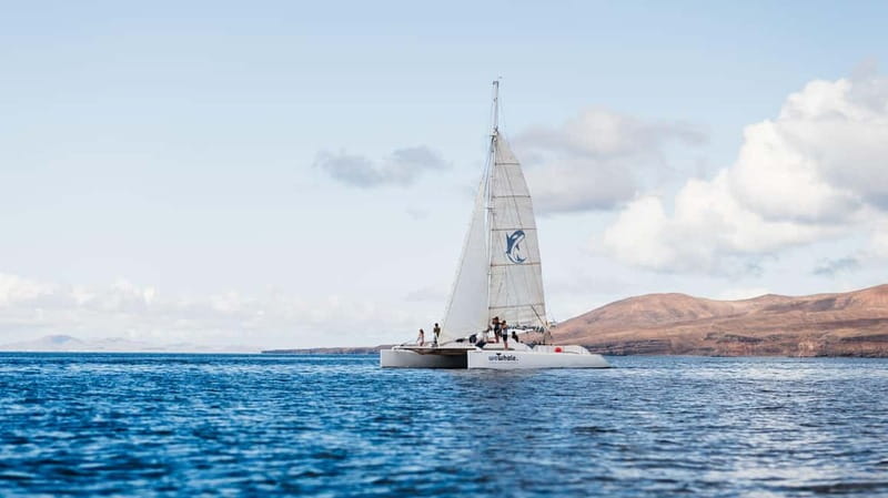 Lanzarote Sunset Experience with dolphin spotting - The 2.5-hour flow: what the cruise time is really like