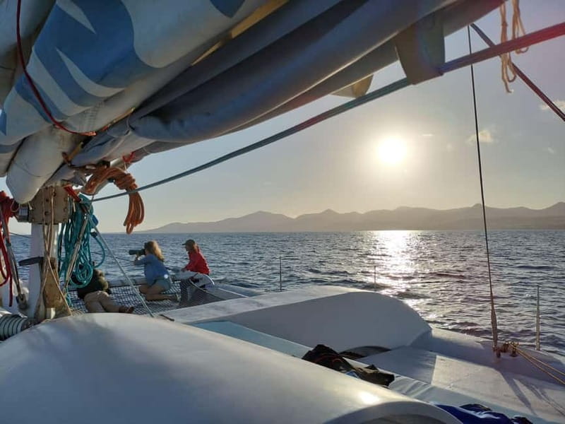 Lanzarote Sunset Experience with dolphin spotting - The crew and guiding style: what to listen for