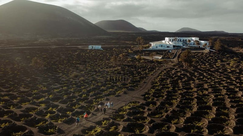 Lanzarote: Sunset vineyard tour with wine and chocolate tasting - Why Finca Testeina at sunset feels special on Lanzarote