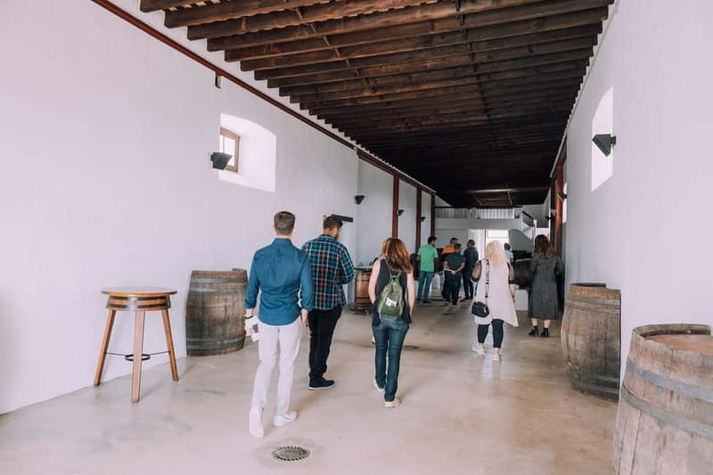 Lanzarote: Sunset vineyard tour with wine and chocolate tasting - Photo stop and wine bar shopping: how to use the final minutes