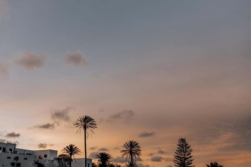 Lanzarote: Sunset vineyard tour with wine and chocolate tasting - Price and value: what $31 buys you in real-world terms