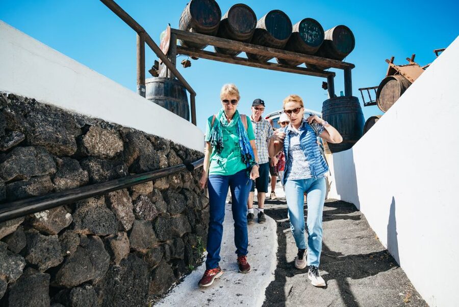 Lanzarote: Timanfaya National Park & La Geria Tour - Tips to make your day smoother