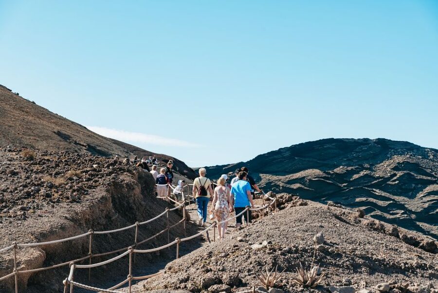 Lanzarote: Timanfaya National Park & La Geria Tour - La Geria in 20 minutes: what to look for in the wine zone