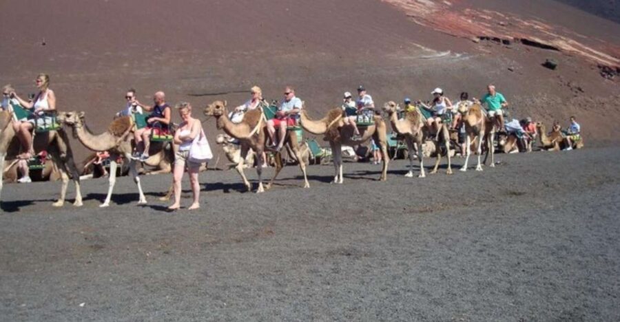 Lanzarote: Timanfaya National Park Tour - Pickup, Road Time, and How the Driver Handles the Lava Route