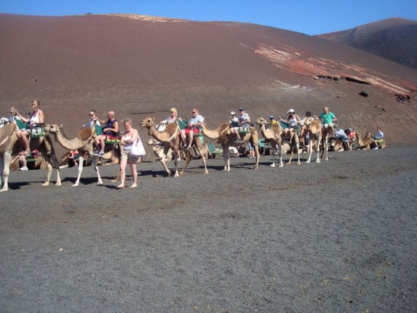 Lanzarote: Timanfaya National Park Tour - Should You Book This Timanfaya Tour with Hotel Pickup?