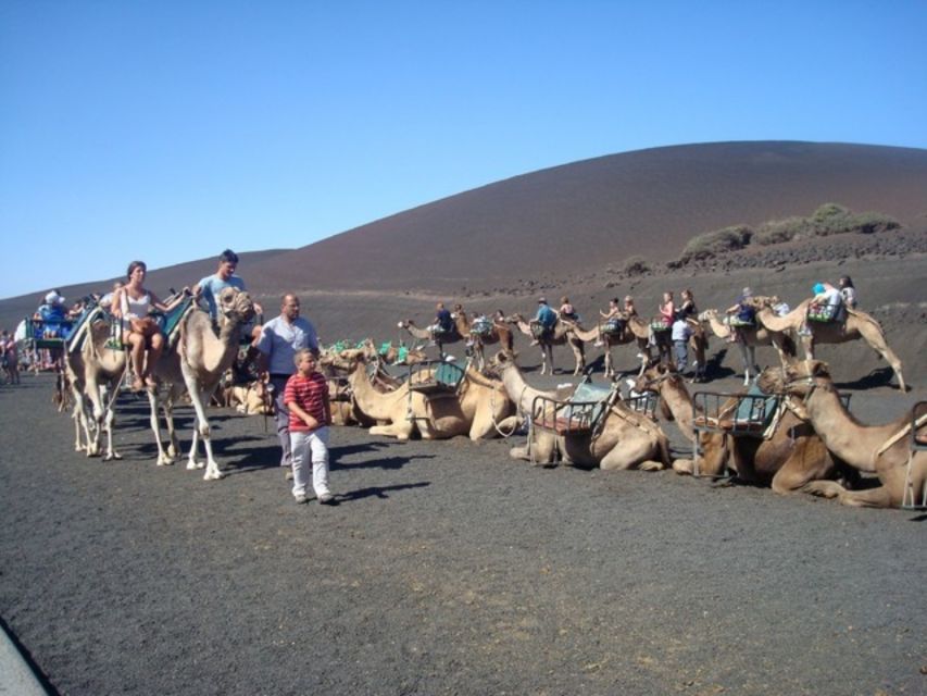 Lanzarote: Timanfaya National Park Tour - Price and What You Actually Get for $67