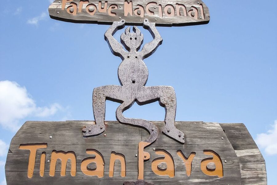 Lanzarote: Timanfaya National Park Volcanic Craters Tour - Key things to know before you go