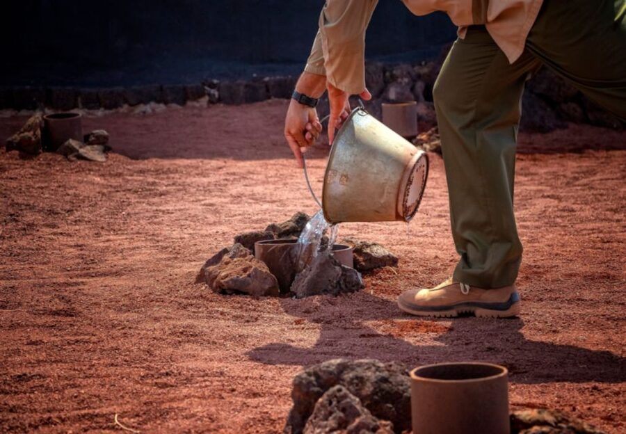 Lanzarote: Timanfaya National Park Volcanic Craters Tour - Should you book it?