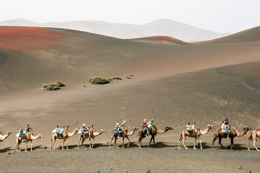 Lanzarote: Timanfaya National Park Volcanic Craters Tour - Islote de Hilario: the geothermal experiments you can’t fake