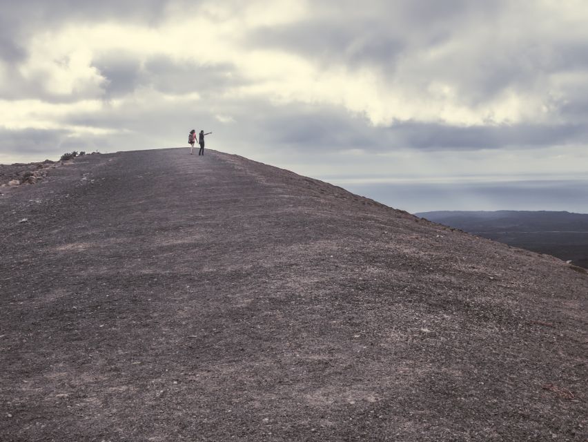 Lanzarote: Timanfaya Natural Park Trekking Tour - Key highlights I’d plan around