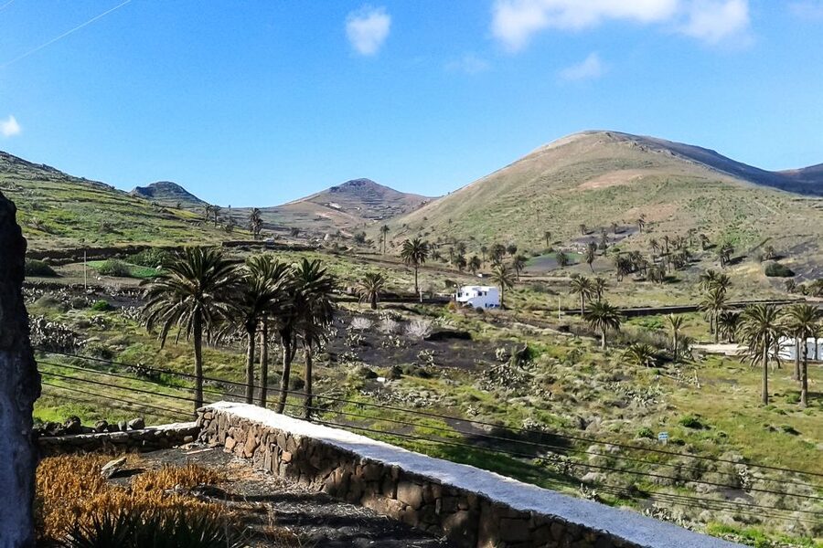 Lanzarote: Timanfaya Park and Jameos del Agua Full-Day Tour - Key highlights to expect